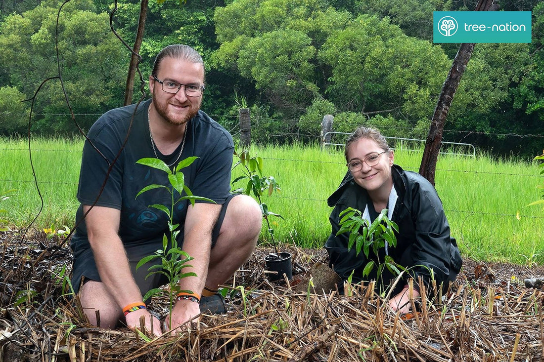 Planting Hope: A Deep Dive into Tree Nation's Reforestation Mission